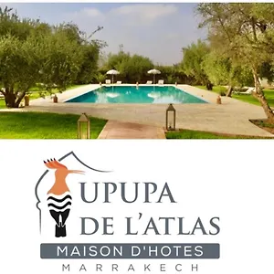 https://upupa-de-latlas.marrakeshhotelsmorocco.com